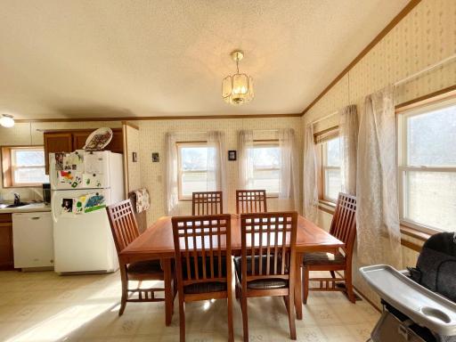 513 N Main Street, Sanborn, MN 56083