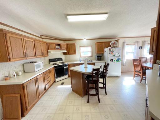 513 N Main Street, Sanborn, MN 56083
