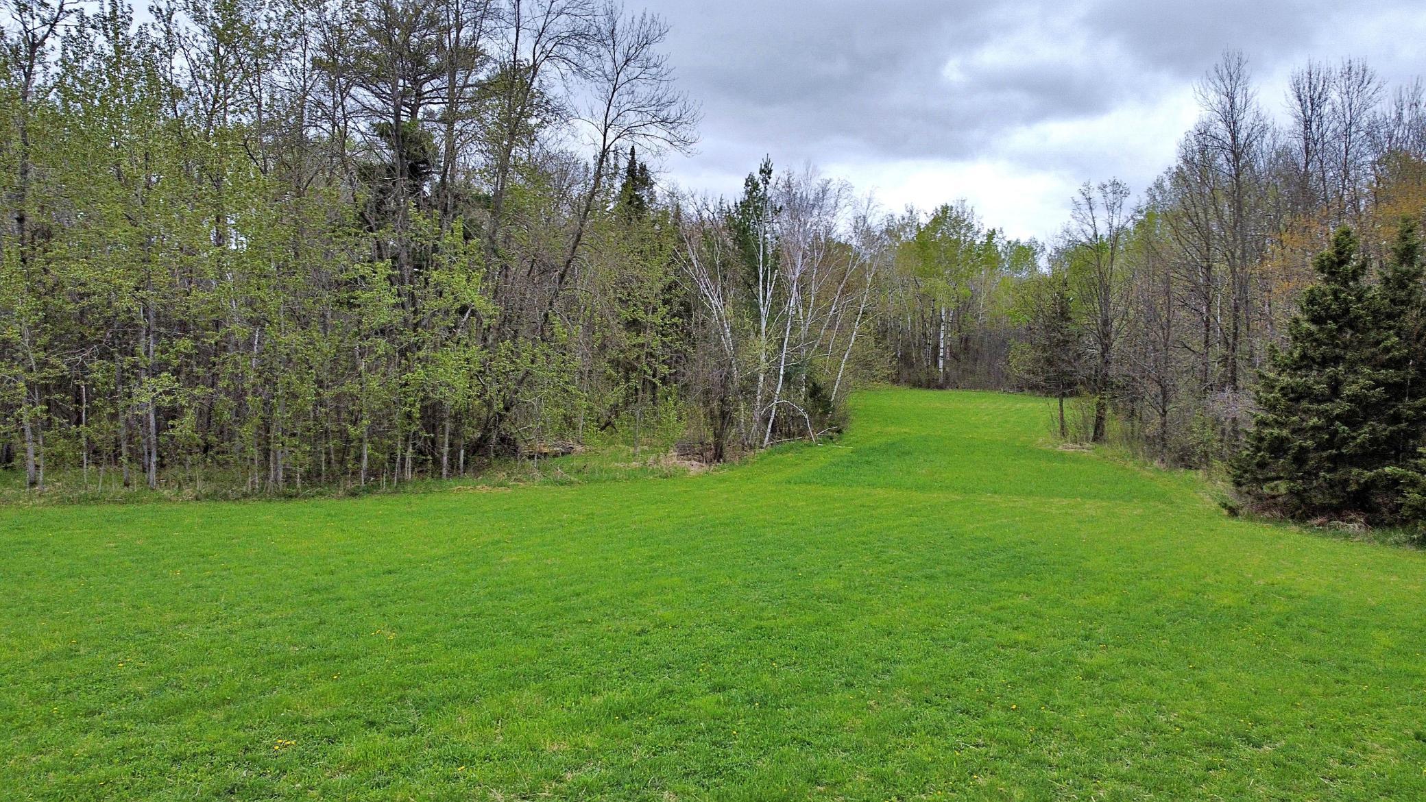 Grassy yard extended with wooded backdrop.jpg