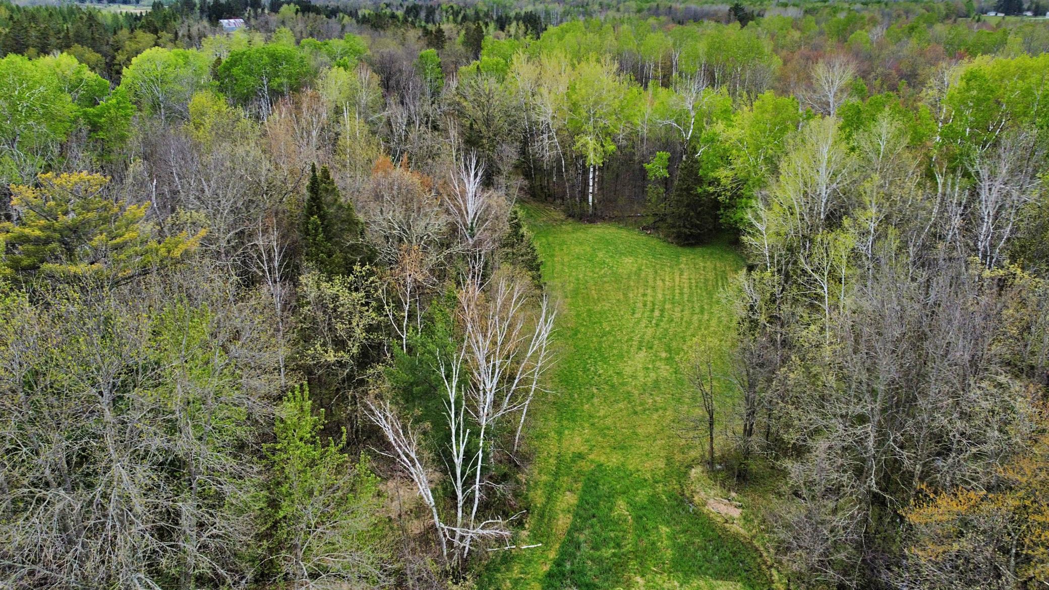 Aerial view over property clearing.jpg