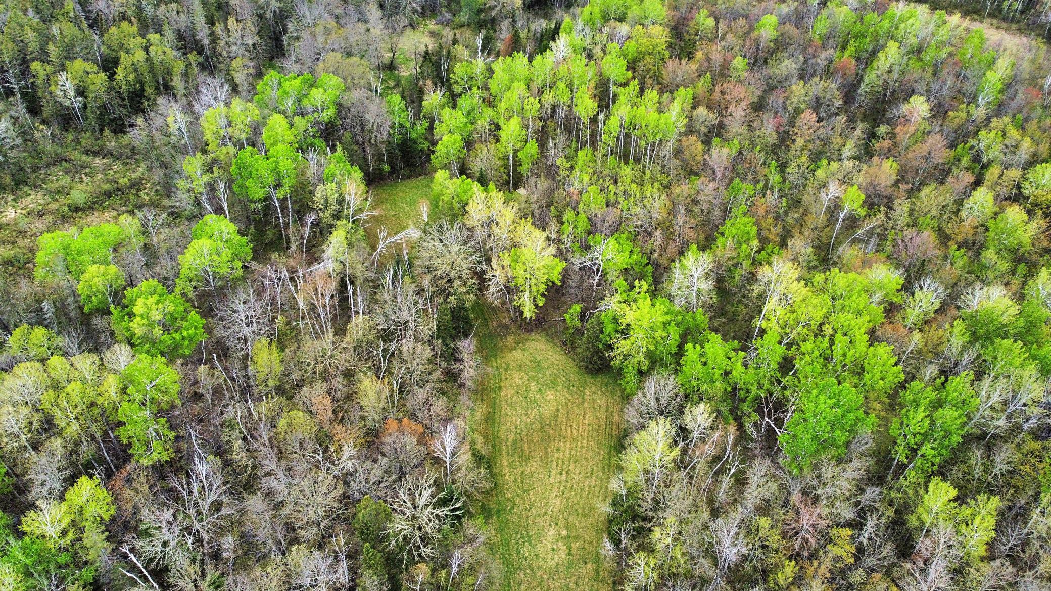 Aerial view over property clearing 2.jpg