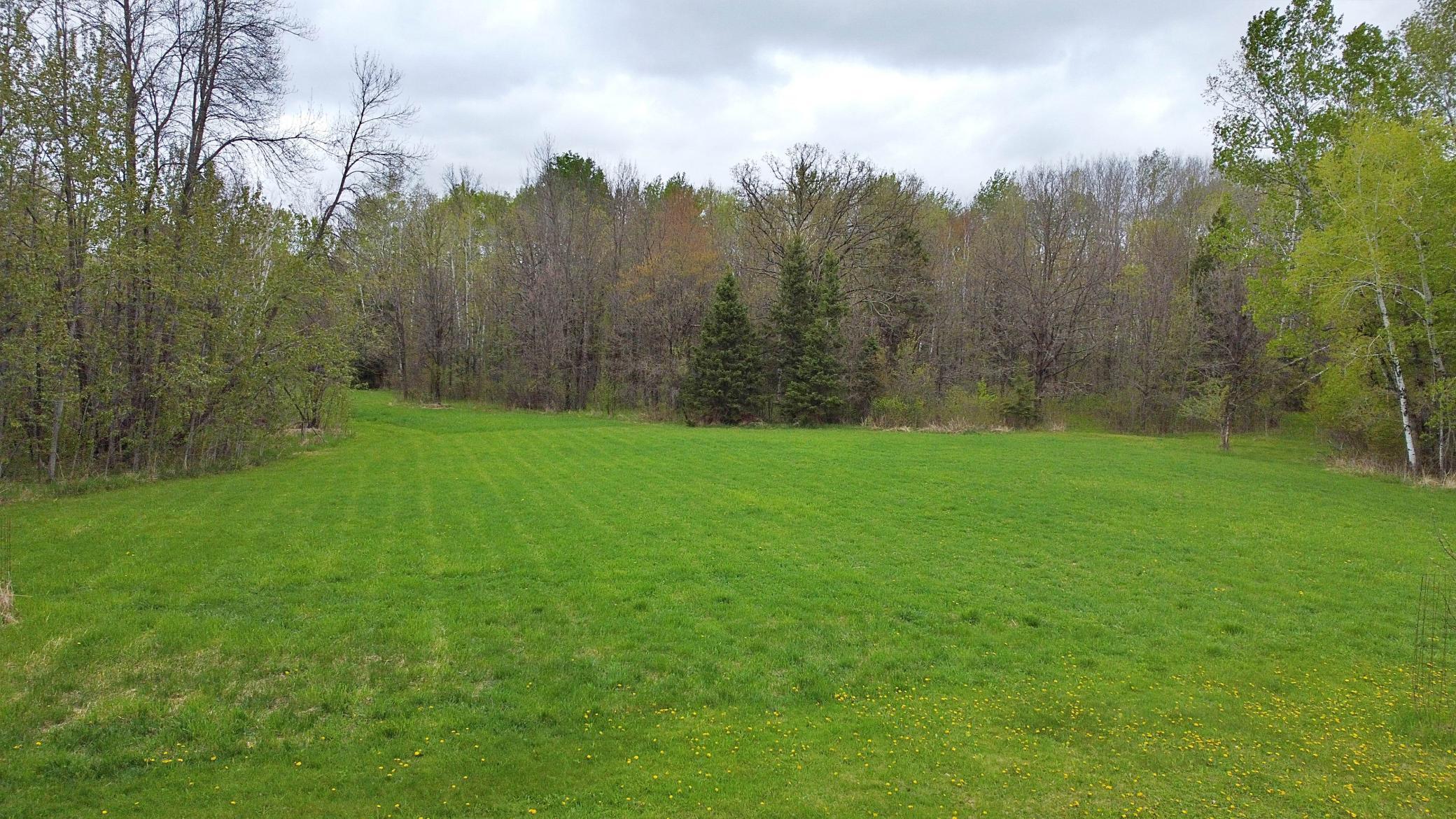 Grassy yard with wooded backdrop.jpg