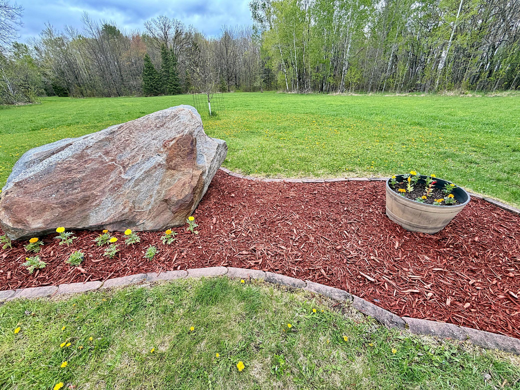Rock garden .jpg