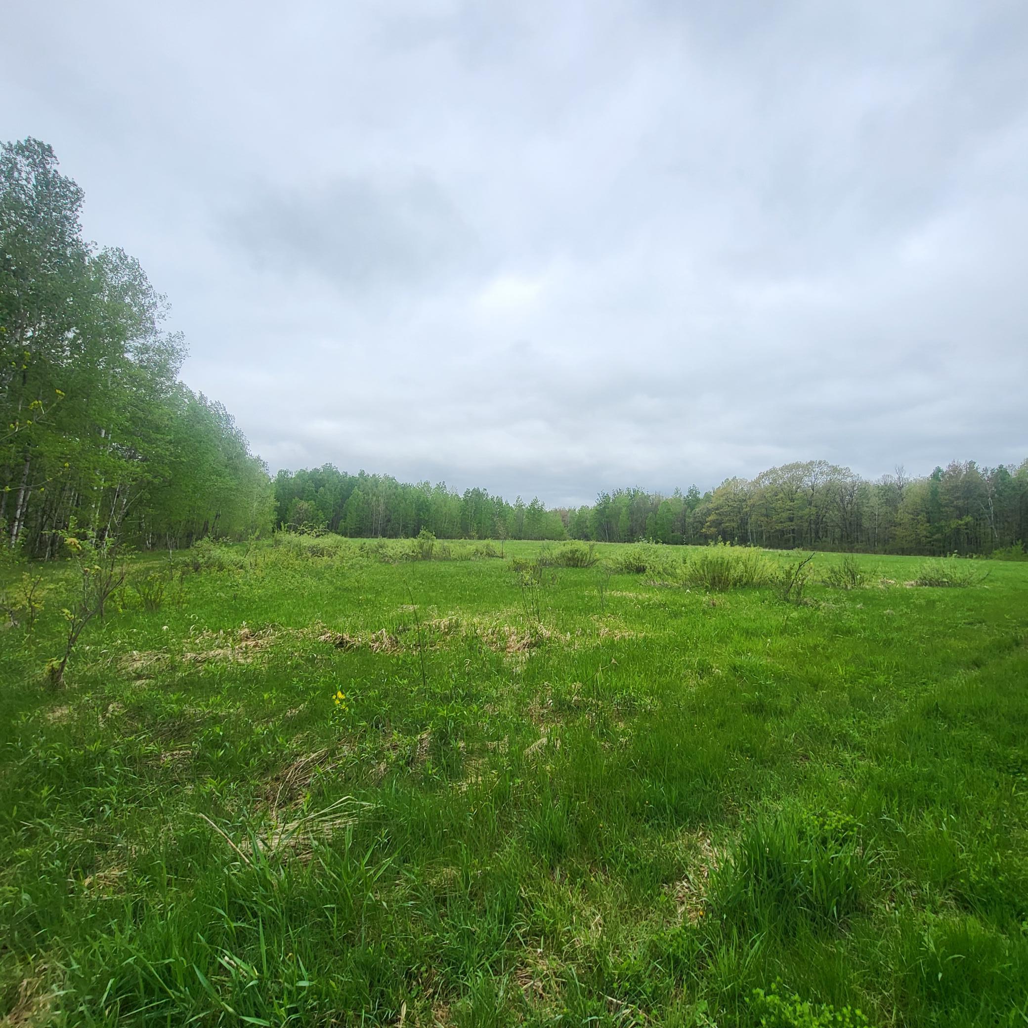 back acres