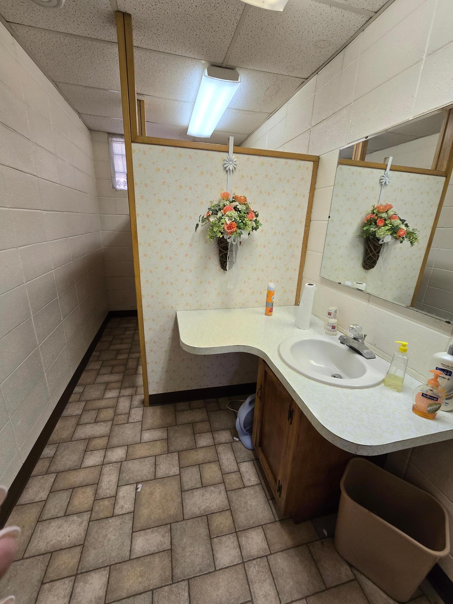 Bathroom lower level