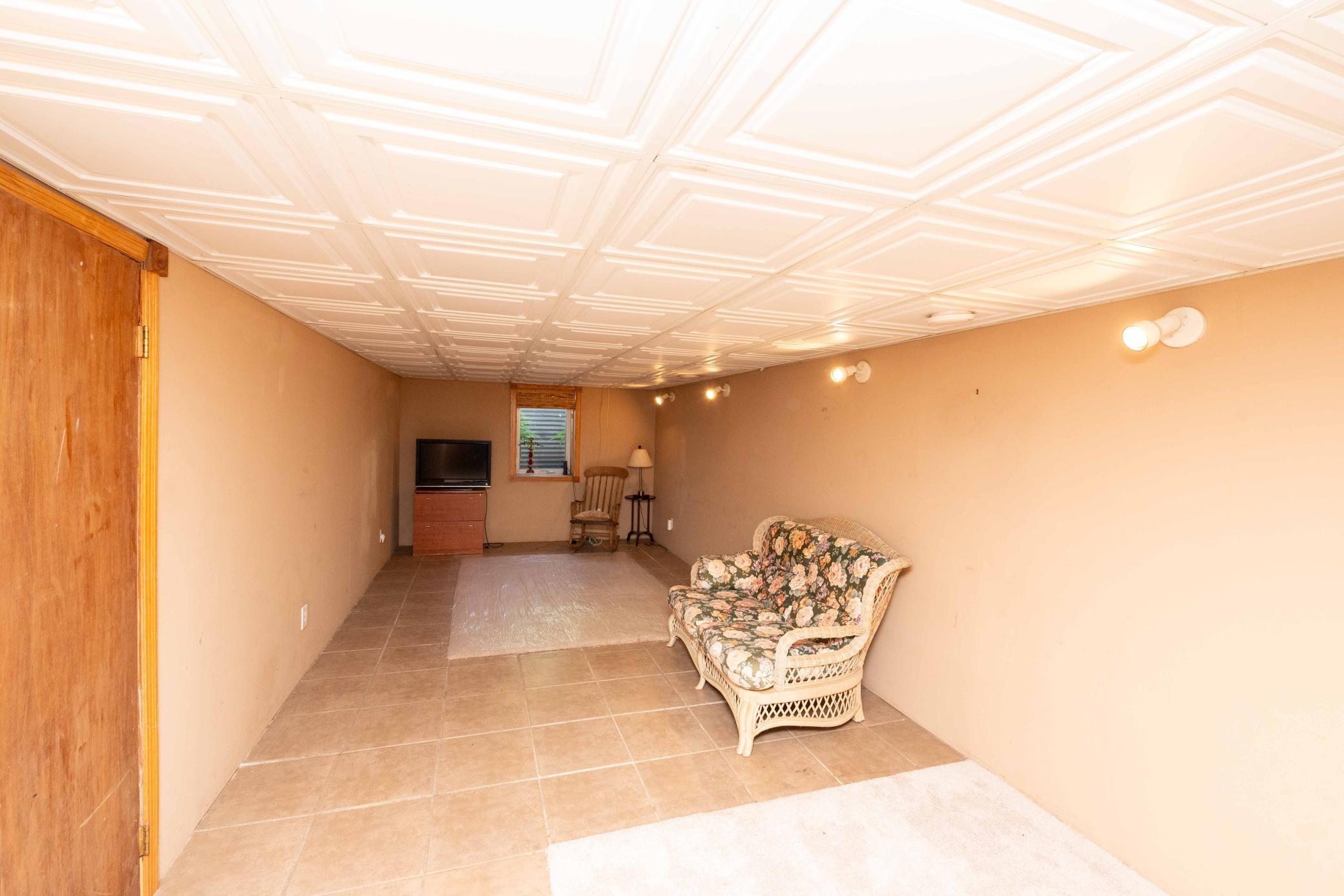 Lower level Family room