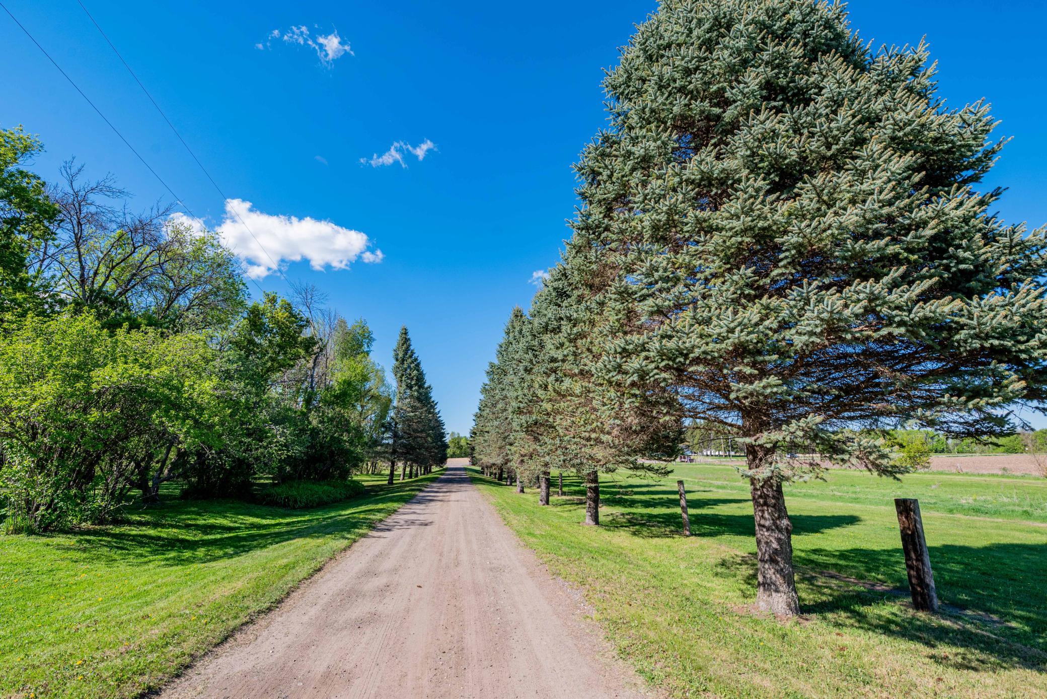 view down driveway