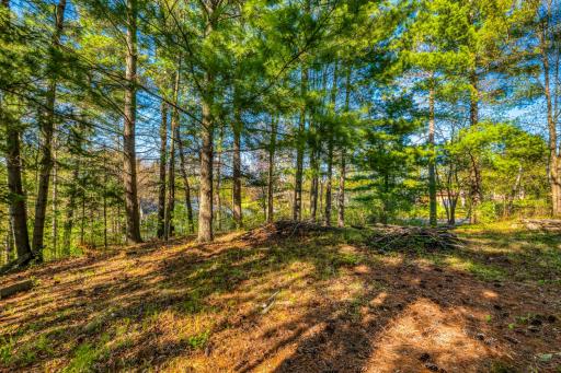 101 Summit Avenue W, Walker, MN 56484