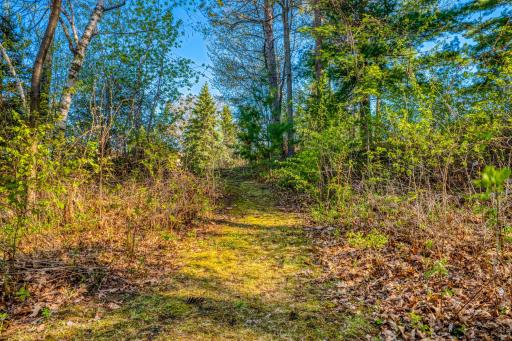 101 Summit Avenue W, Walker, MN 56484