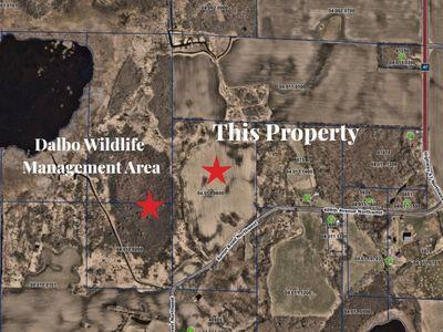 Picture Perfect 80 acres next to Dalbo Wildlife Management Area. Open Builder. Dream home or hunting or both.