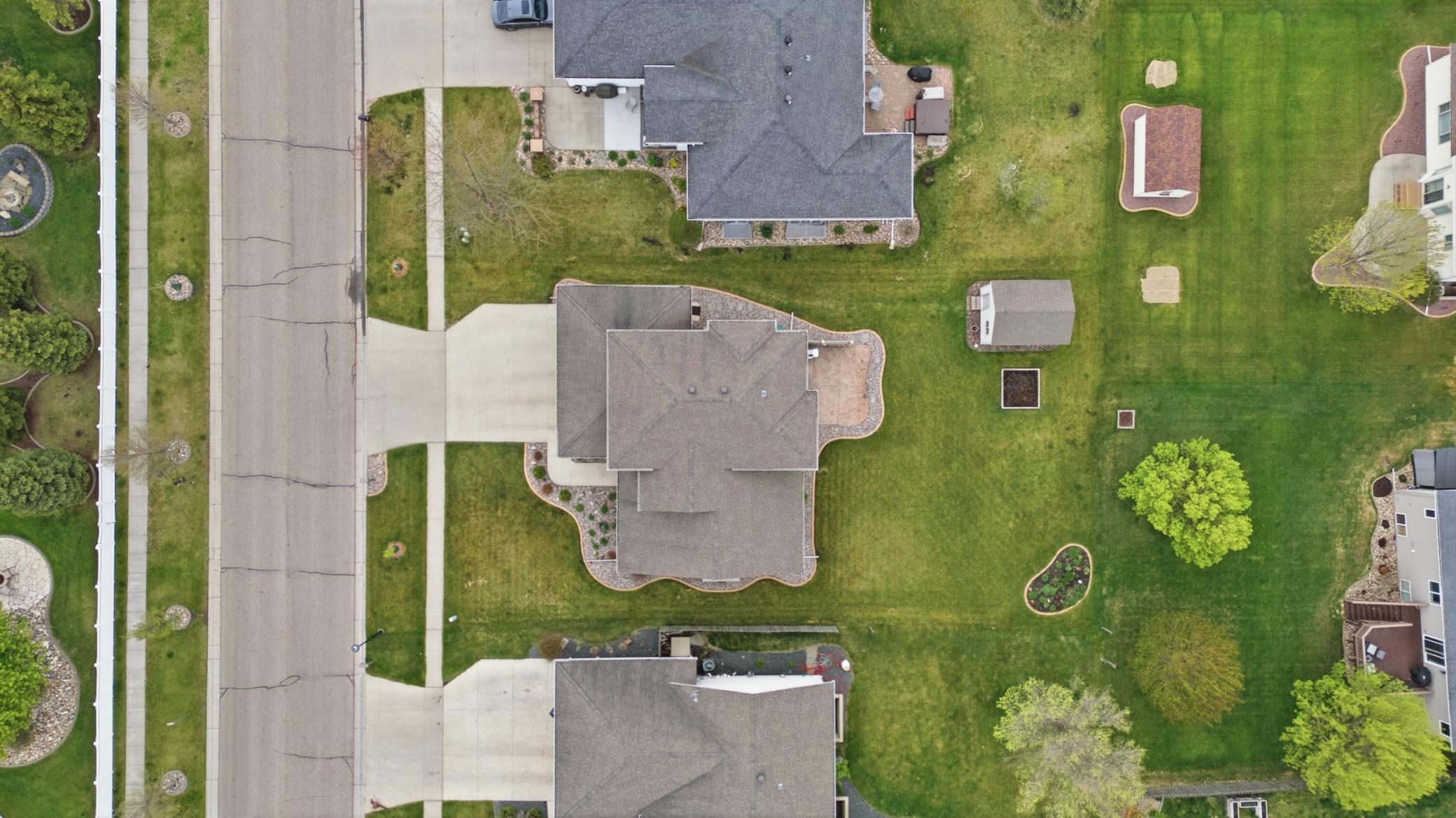 Birds Eye