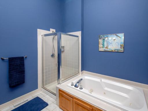 17213 Rogers Road, Eden Prairie, MN 55347