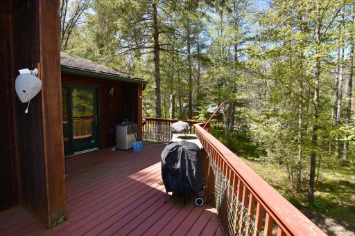 331 S Lake Lawrence Road NE, Outing, MN 56662