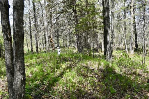 331 S Lake Lawrence Road NE, Outing, MN 56662