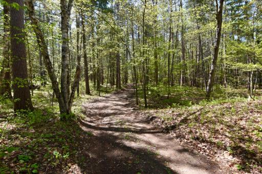 331 S Lake Lawrence Road NE, Outing, MN 56662