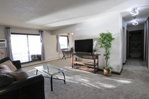 Complete Deep Renovation - All Next to New!