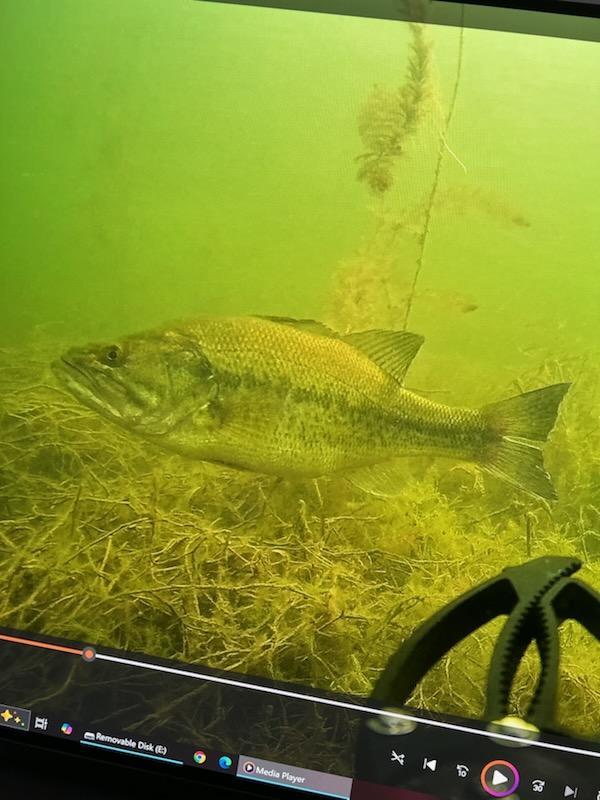 Taken by Underwater Drone at LW Docks