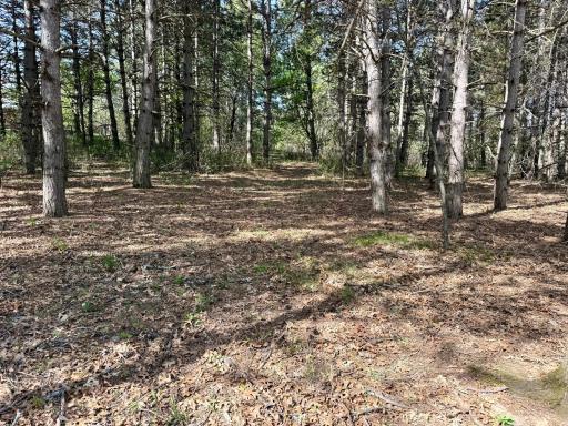 28110 112th Street NW, Zimmerman, MN 55398