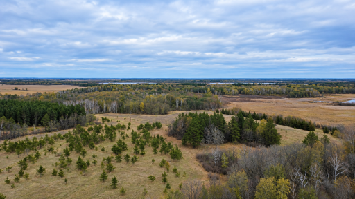 TBD Co Hwy 37, Ponsford, MN 56575