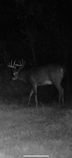 TBD Co Hwy 37, Ponsford, MN 56575