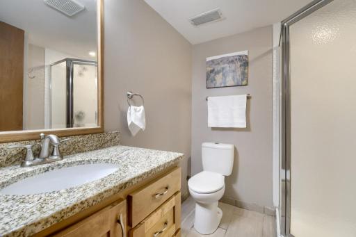 The lower-level bathroom offers a third shower to the home!