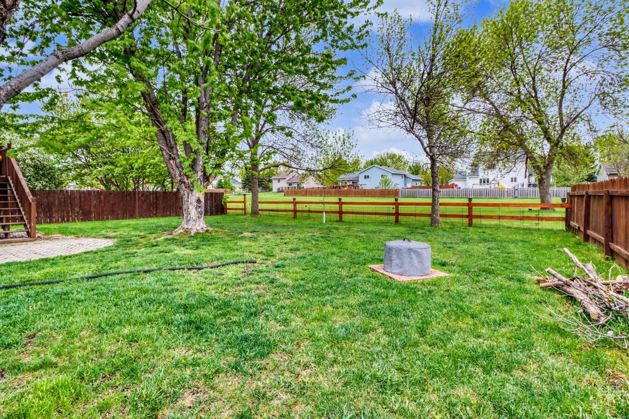 Backyard1_5.jpeg.jpg