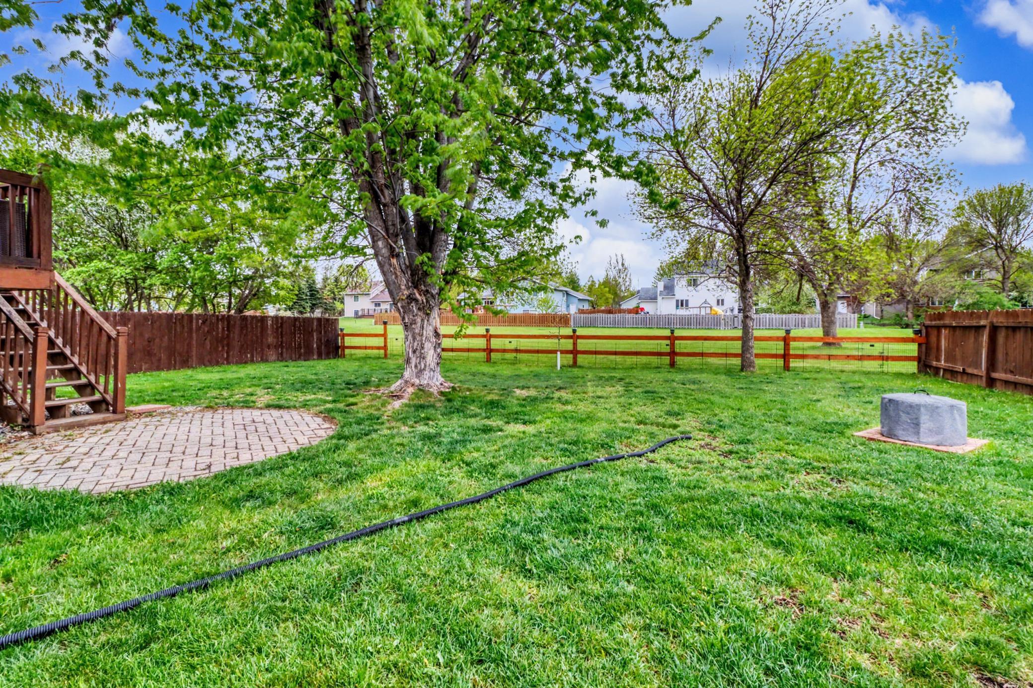 Backyard1_4.jpeg.jpg
