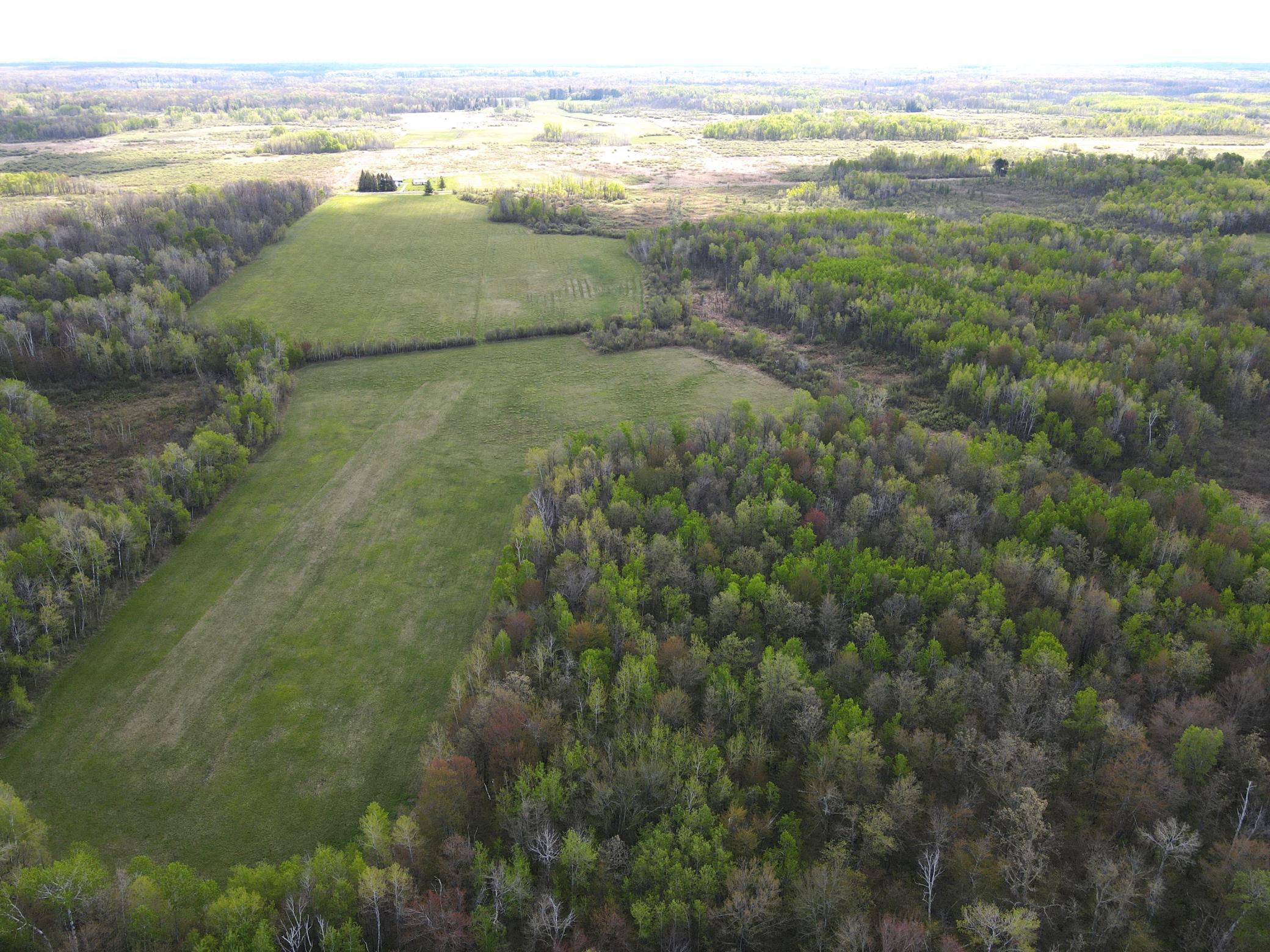 Awesome mix of woods and tillable
