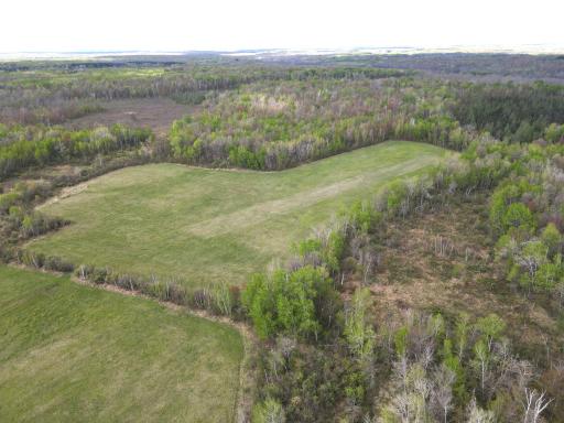 TBD 180th Avenue, MN 56350
