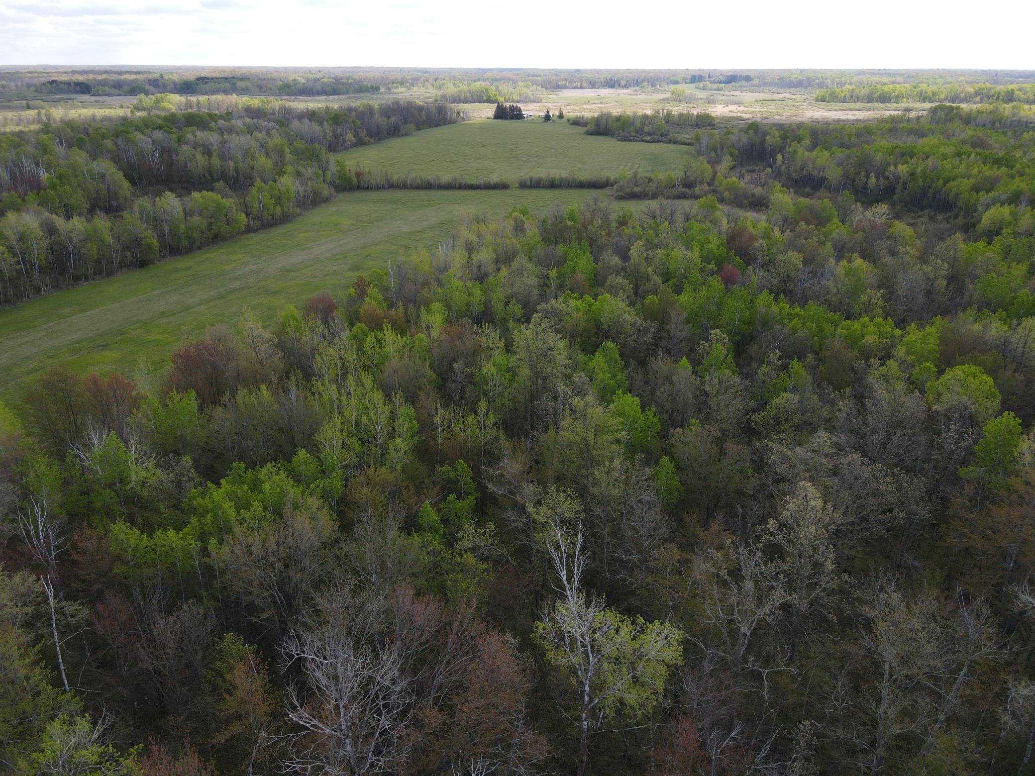Diverse 80 acres