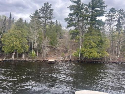 95642 Pine Island, Tower, MN 55790