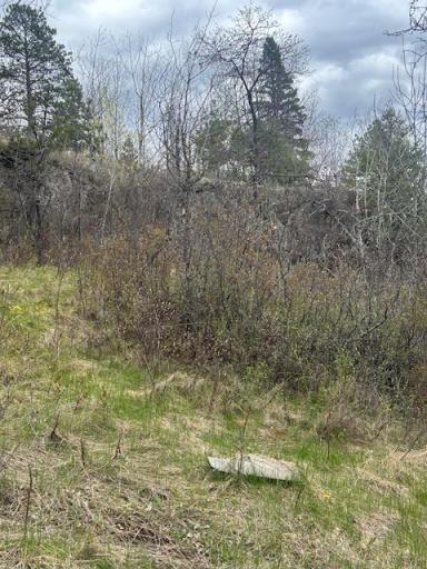95642 Pine Island, Tower, MN 55790
