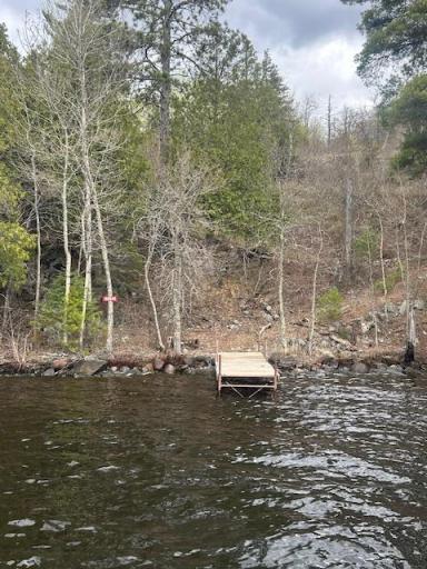 95642 Pine Island, Tower, MN 55790