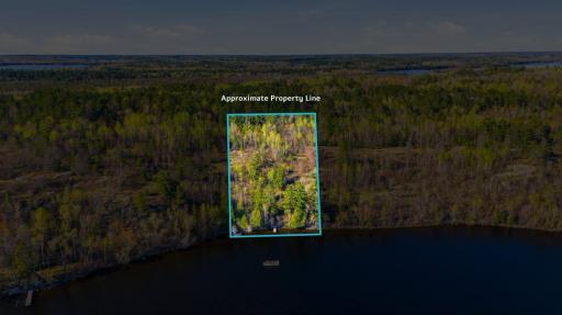 95642 Pine Island, Tower, MN 55790