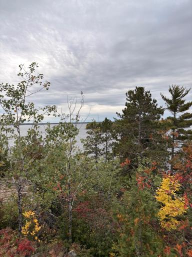 95642 Pine Island, Tower, MN 55790