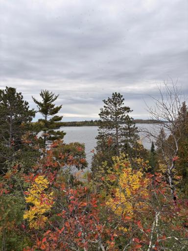 95642 Pine Island, Tower, MN 55790
