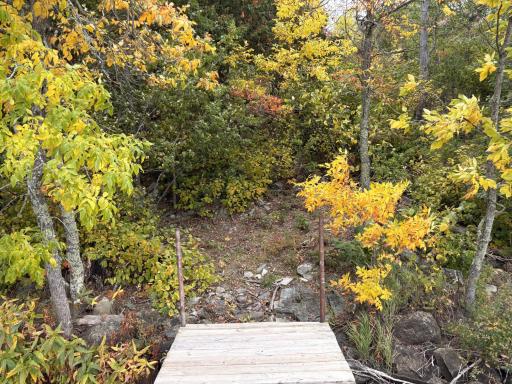 95642 Pine Island, Tower, MN 55790