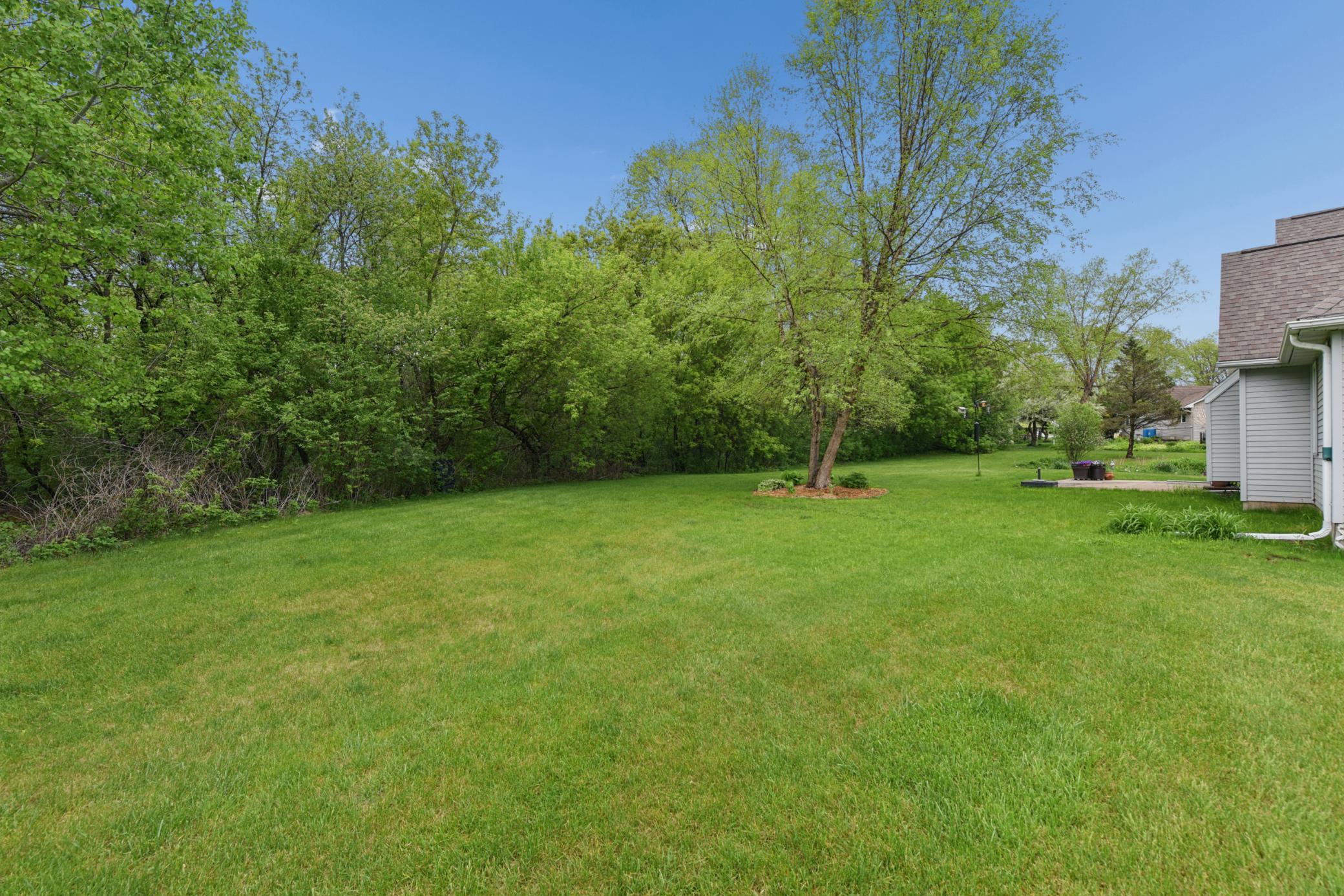 back yard