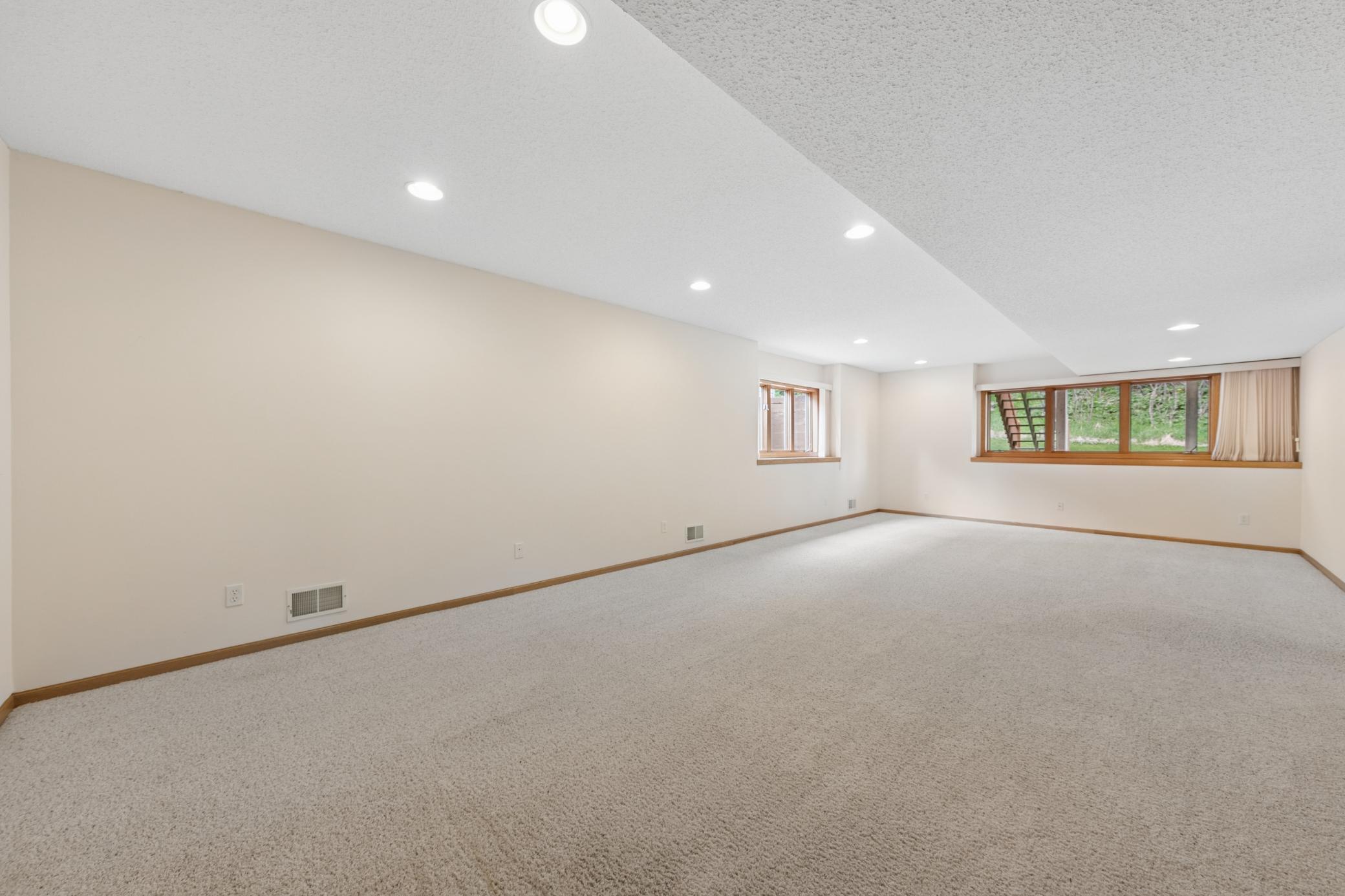 Lower Level Family Room