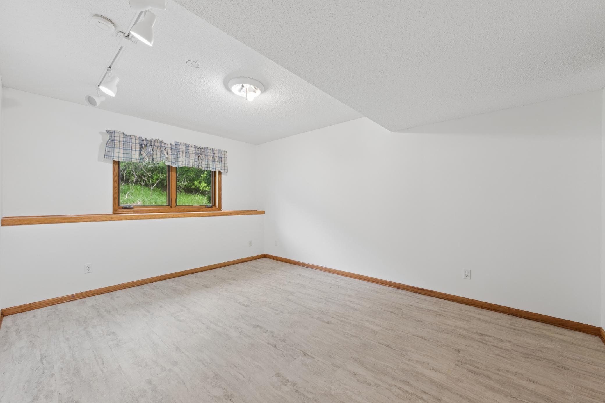 Lower Level Bedroom