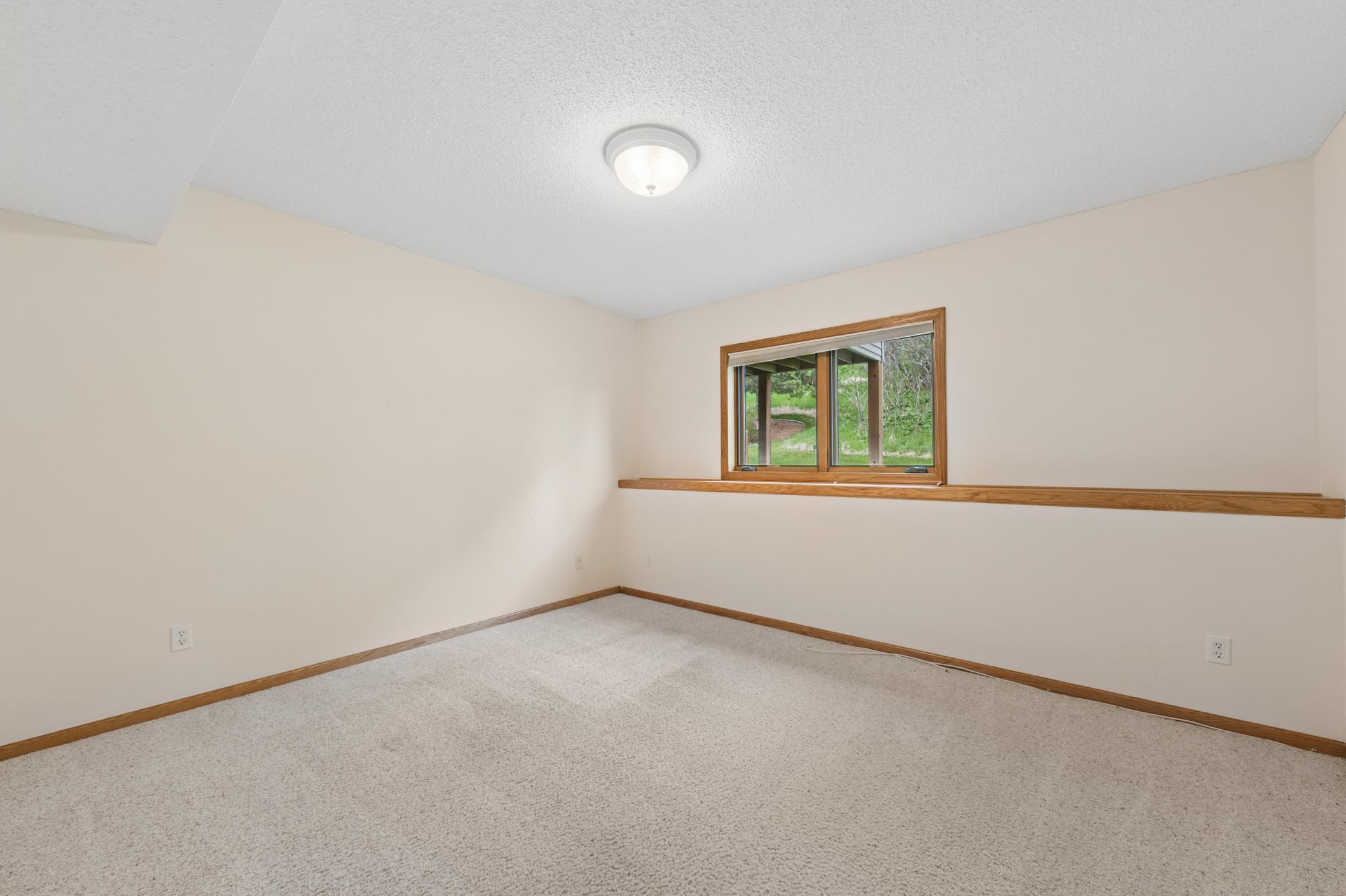 Lower Level Bedroom