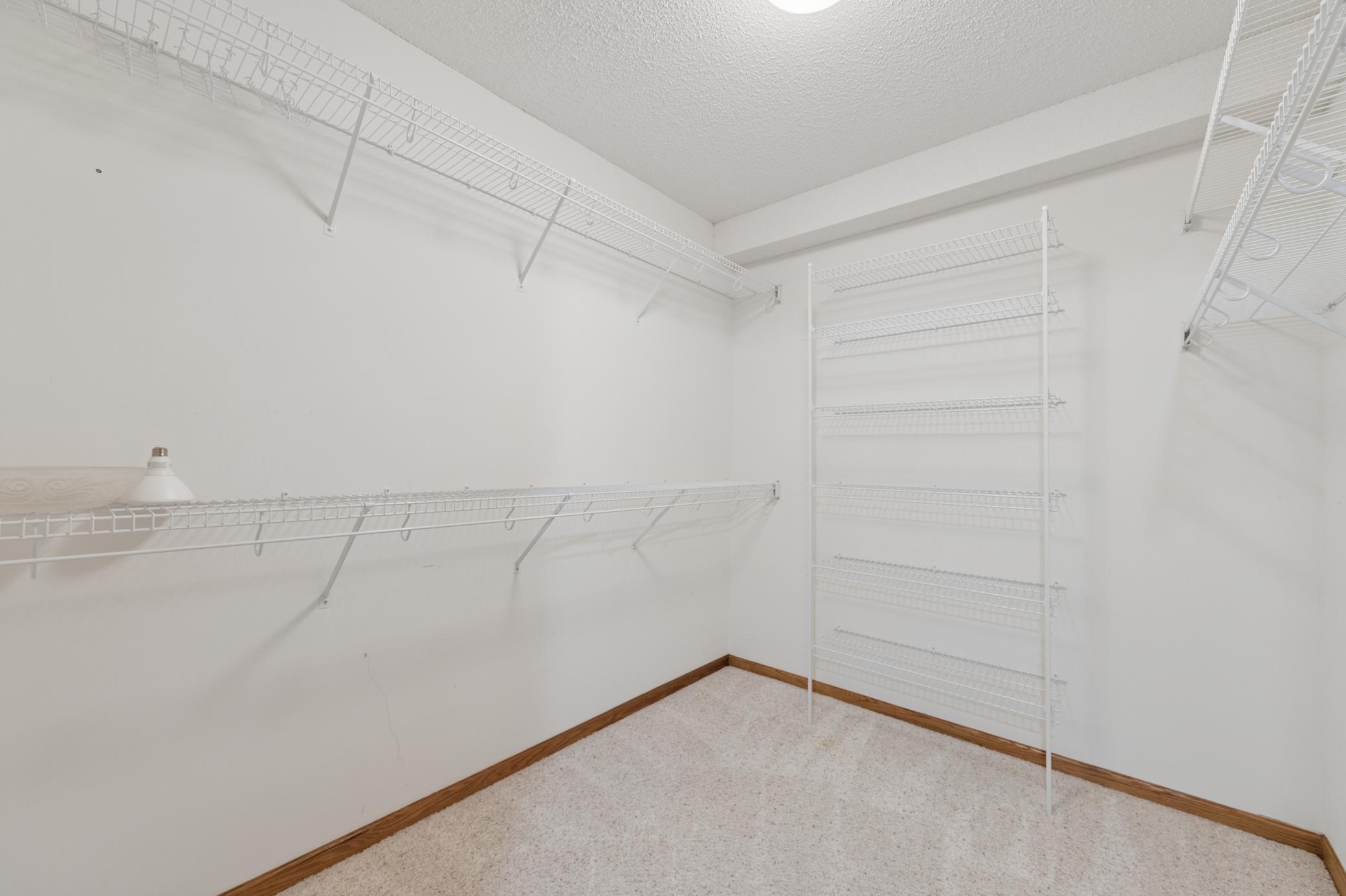 Lower Level Closet