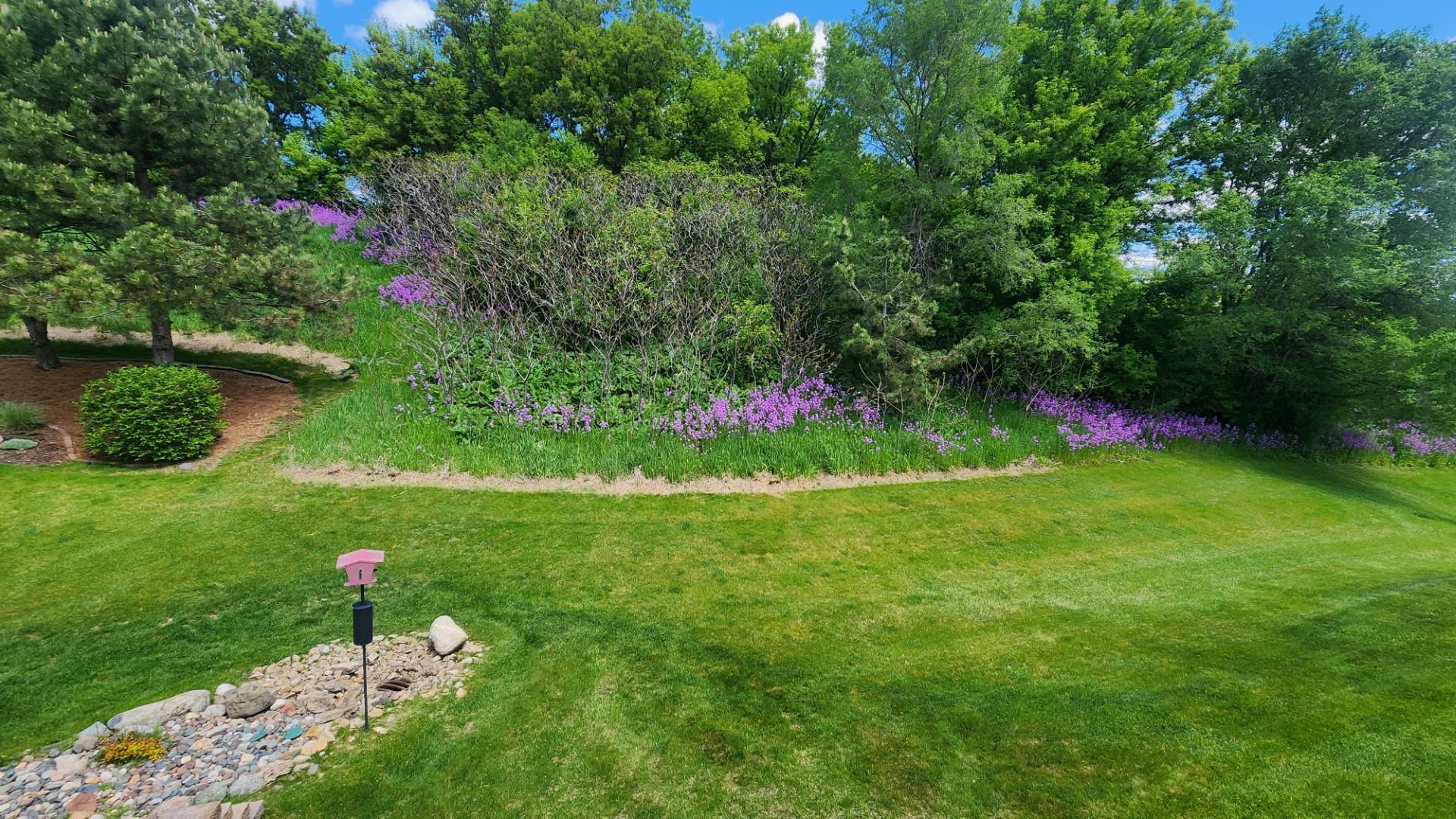 Beautiful back yard views.
