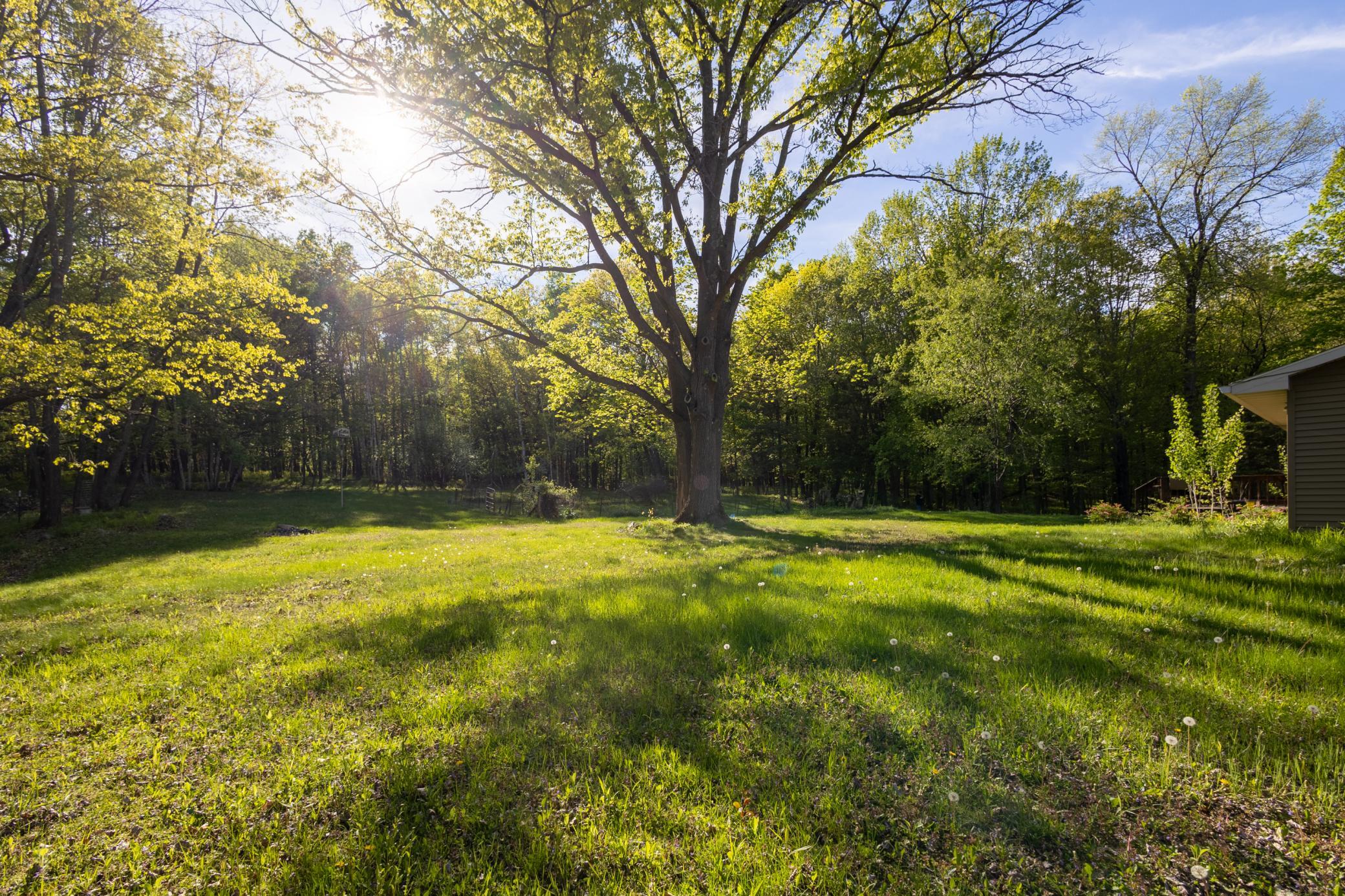 6T9A4659-HDR.jpg