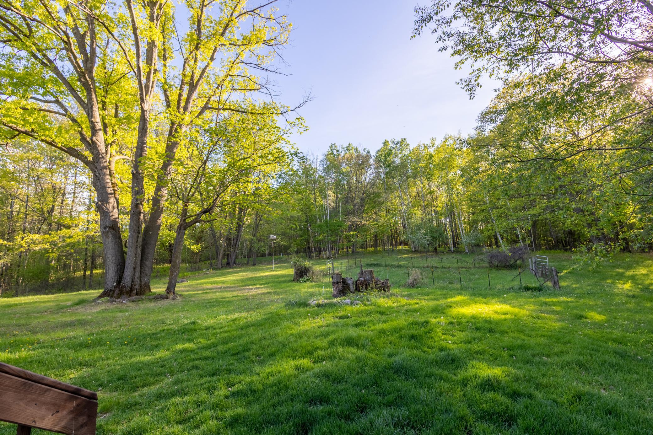 6T9A4872-HDR.jpg