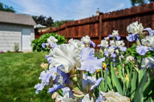 Spring at 4348 12th
