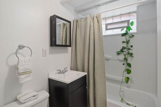 Basement Bathroom