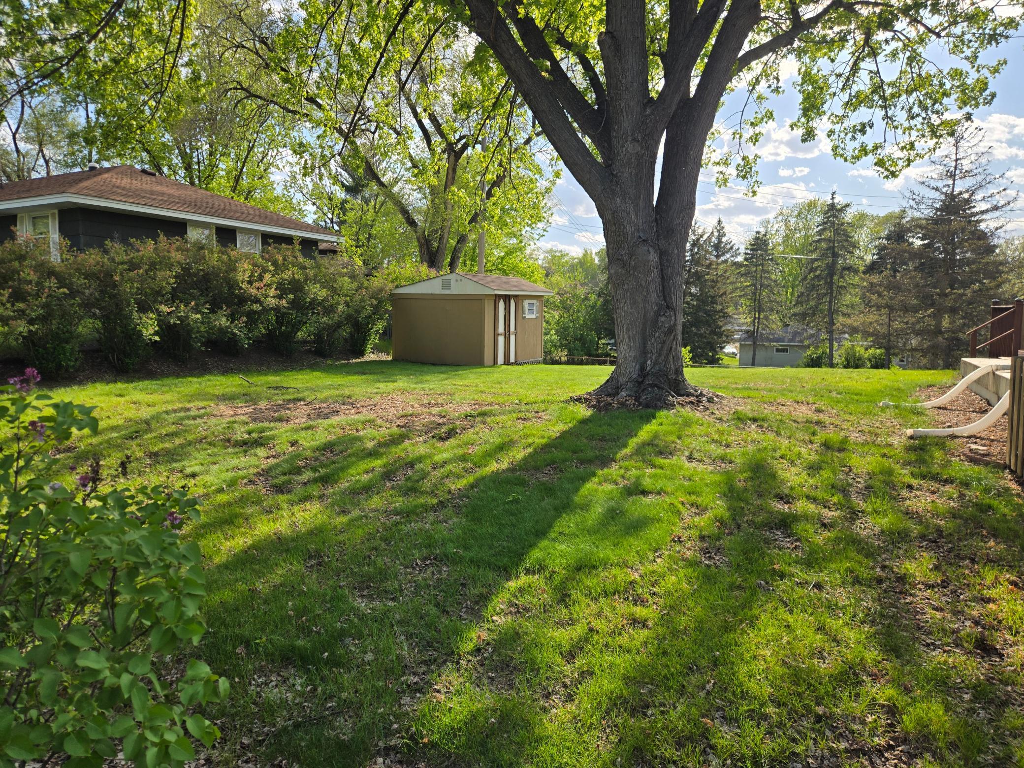 backyard.jpg