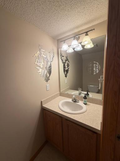 8920 Pheasant Lane, Saint Bonifacius, MN 55375