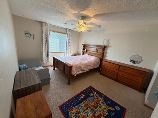 8920 Pheasant Lane, Saint Bonifacius, MN 55375